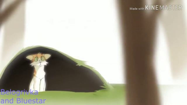 Коты воители| Листопад и Остролистая|Любимец твоих дьяволов| заказ с канала Forst Tv смотреть онлайн