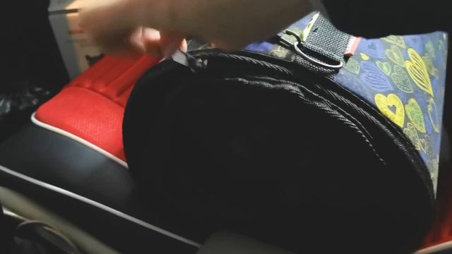 Котенок для Софии / детский канал Sofeya