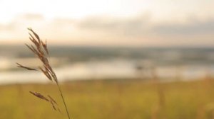 "ТУГАН ИЛ"  АЙГУЛЬ ХАЙРИ