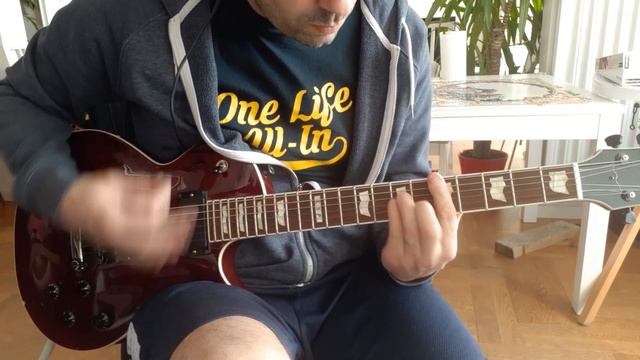 Propagandhi - Lotus Gait [Failed States #11] (Guitar Cover) смотреть онлайн