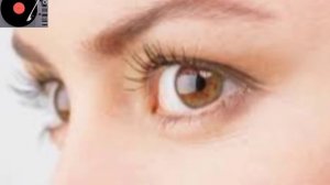 Песня "Я тебе не верю" Григорий Лепс и Ирина Аллегровна.   Под монтажем у ЛегенДы