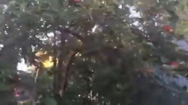 Тюменский сад смотреть онлайн