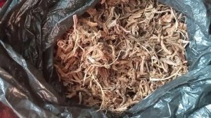 Копеечник / Красный корень / Медвежий корень