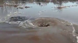 Необычный водоворот, который поглощает все подряд