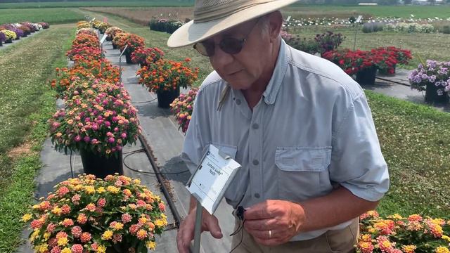 Flower Trials 2021 Kick-Off смотреть онлайн