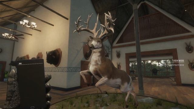 *FIXES BEING WORKED ON!* MAJOR BUG FOR WHITETAILS AND COYOTES IN LODGES! THE HUNTER CALL OF THE WIL смотреть онлайн