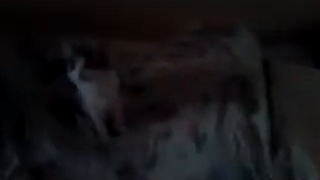 Как правильно ложиться спать смотреть онлайн