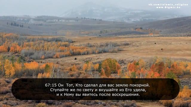 Коран Аль Мульк Власть чтец Идрис Абкар смотреть онлайн