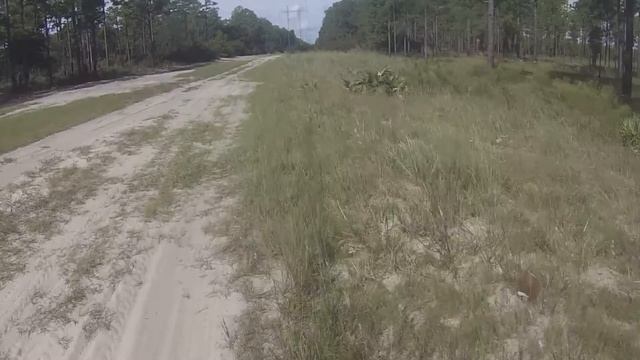 Honda CRF 300L: riding the Ocala Sand Dunes смотреть онлайн