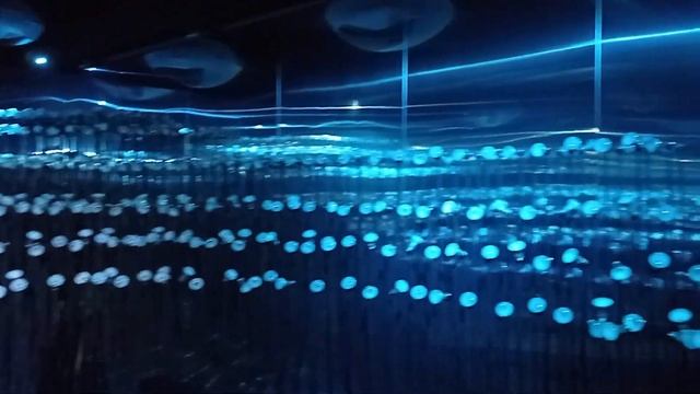 Первая в России персональная выставка художника Maotik в галерее «Цифергауз» смотреть онлайн