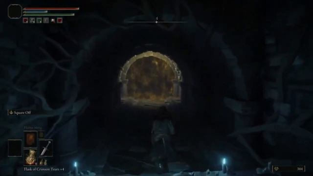 Elden Ring [Erdtree Burial Watchdog in Cliffbottom Catacombs and Kaiden Sellsword Ashes] смотреть онлайн
