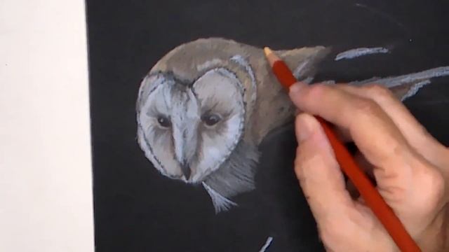 Derwent Drawing Pencils on Black Paper: Barn Owl смотреть онлайн