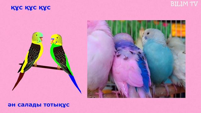 ЛОГОПЕДИЯЛЫҚ ЖАТТЫҒУ/МУЛЬТФИЛЬМ/ТІЛІҢ ШЫҚСЫН БАЛАПАН/🐇🐢🦒🐘🐓🦜🦆 смотреть онлайн