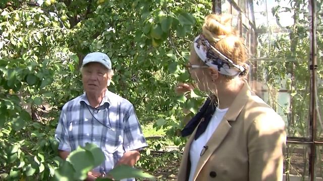 Груша Чижевская у Николая Пителина смотреть онлайн