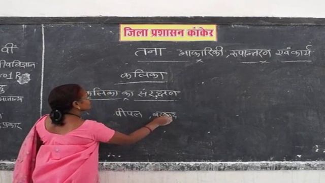 Stem morphology and function conversion Part 1 ✅ смотреть онлайн