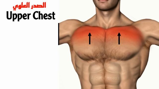 7 تمارين الصدر لتوسيع الصدر العلوية بسرعة | Upper Chest смотреть онлайн