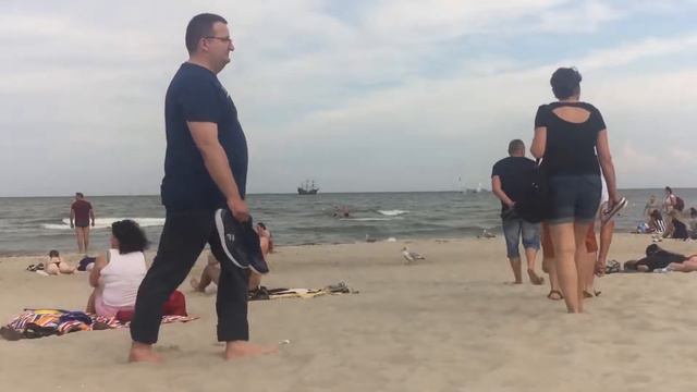 Побережье Балтийского моря. Городской пляж. Чайки. смотреть онлайн