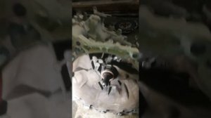 королла ошибка р 0810. дополнительные проблемы.