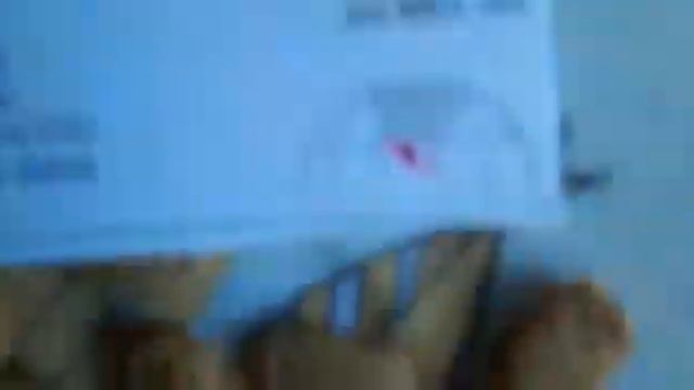 Прогноз моей кошки Моти про матч Мексика Южная Корея победит Мексика .Mundial 2018 Rusia. смотреть онлайн