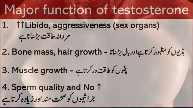 How To Increase Testosterone Naturally (Only For Men) | Lecture 191