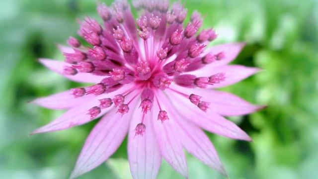 Человек четвертого измерения. Какие признаки указывают, что вы живете в четвертом измерении.