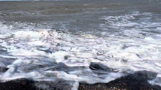 Стих: следы жизни смотреть онлайн