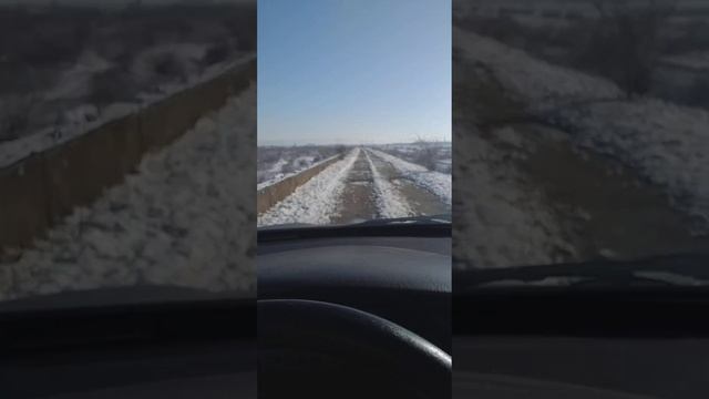 Plimbare de dimineața !!! смотреть онлайн