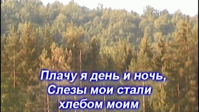 Как лань желает Христианская песня #2020 смотреть онлайн