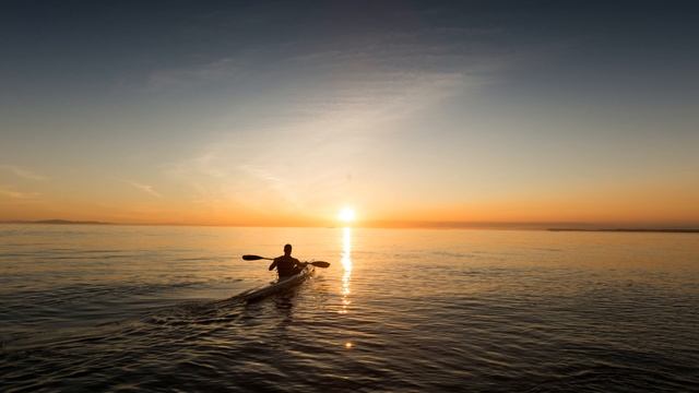 Mosquit – суета в моей голове