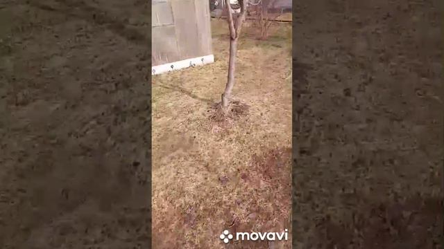 На даче только сошёл снег. 06.04.2024