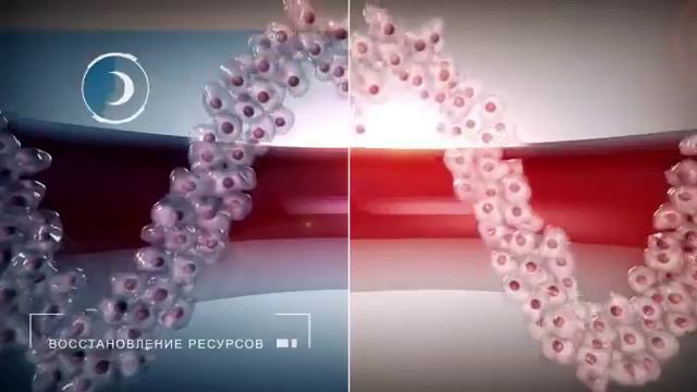 Ритмы здоровья  Гармония ваших биоритмов