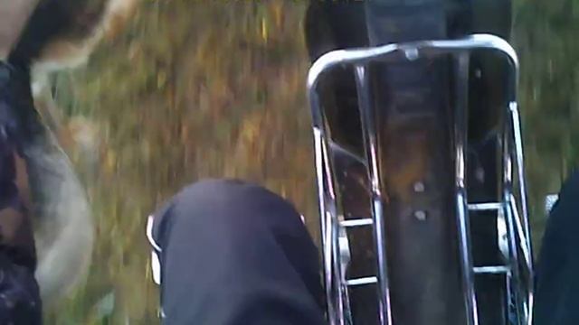 Мопед Зид 50 05 прокатился на поле и защитник овчарка смотреть онлайн