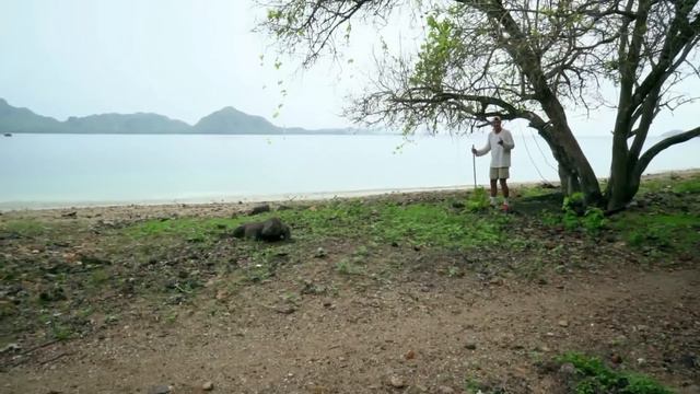 La temeridad de Frank frente a dos animales venenosos | Wild Frank | Animal Planet смотреть онлайн