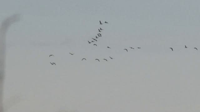 Мужиков надо любить смотреть онлайн