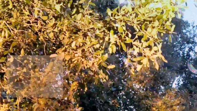 ОСВОБОЖДЕНИЕ ОТ НЕГАТИВА / ДУХОВНАЯ ПРАКТИКА / ТЕБЕ ЛЮБОВЬ Я ПОСЫЛАЮ / ПОЭЗИЯ ДУШИ смотреть онлайн