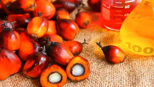 Ангина держится температура. Лечим ангину быстро. смотреть онлайн