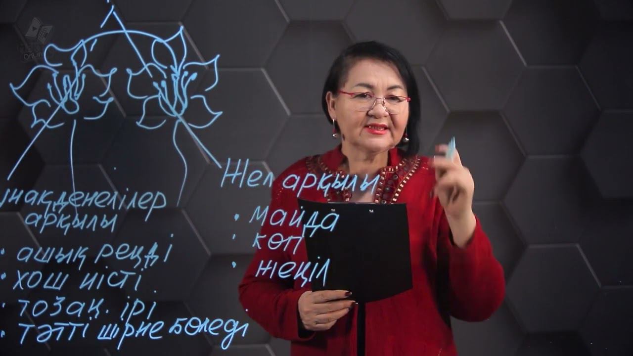 Биология - ҰБТ. 5 нұсқасы: № 01-03. смотреть онлайн