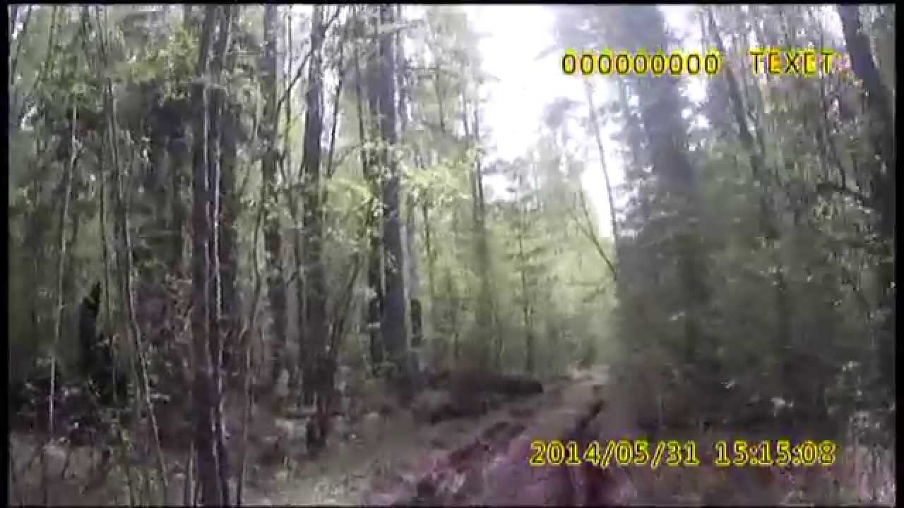Три сестры. 31 мая 2014 г. смотреть онлайн