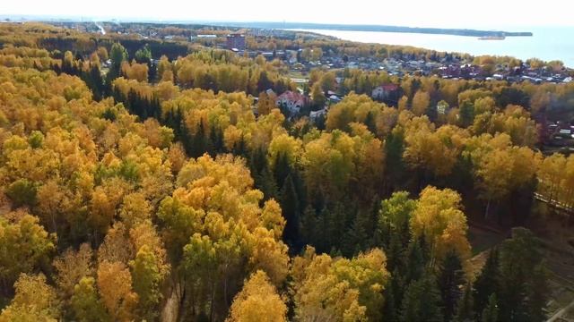 Ботсад Академгородка смотреть онлайн