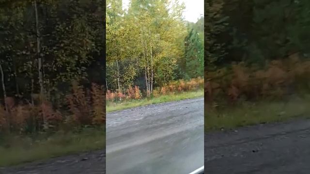 Трасса нижний Тагил Алапаевск смотреть онлайн