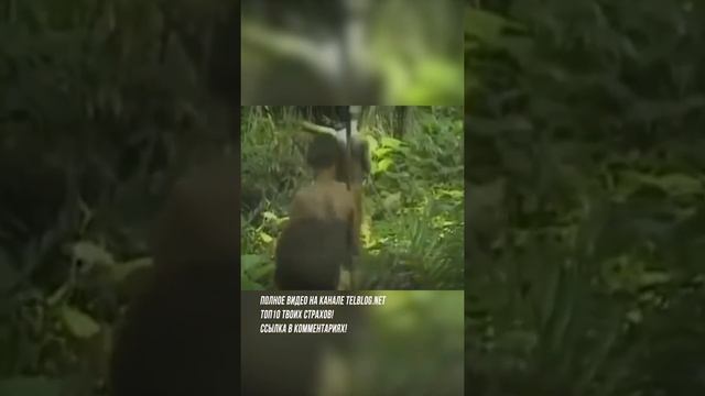 Почему мы БОИМСЯ спать одни дома? #shorts смотреть онлайн