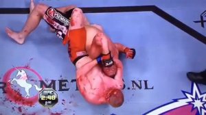 Один из самых кровавых боев Стефан Struve vs Денис Stojnic