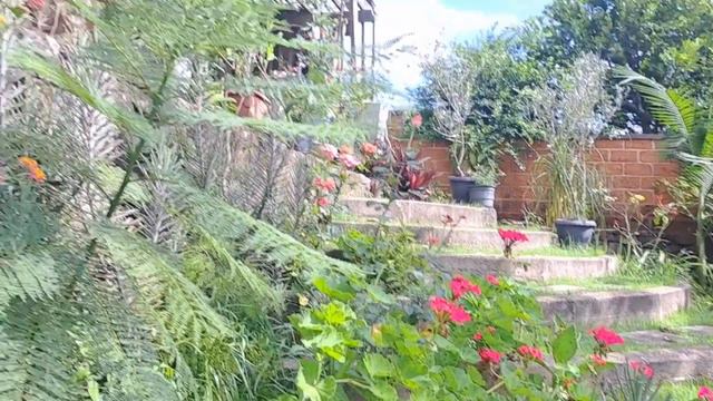 Philip Catherine & Sylvain Luc, Paris (2009 - RIP Sylvain Luc) смотреть онлайн