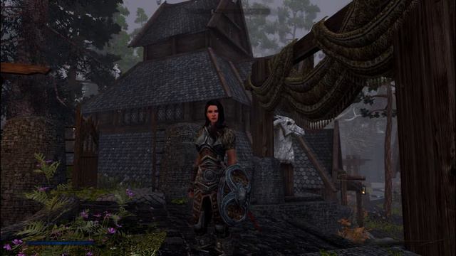 The Elder Scrolls V Skyrim Anniversary Edition Bijin Housecarls Красивые воительницы # 31 смотреть онлайн