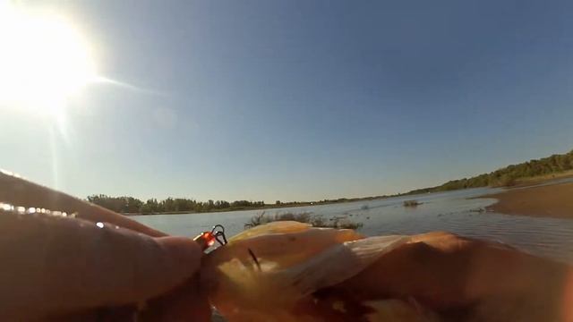 Ахтуба в июне