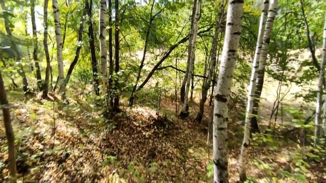 Спустились в старинные пещеры, каменные урочища, ВЛОГ (Сталкеры, Диггеры, Перевоз, Ичалки) СПСО смотреть онлайн