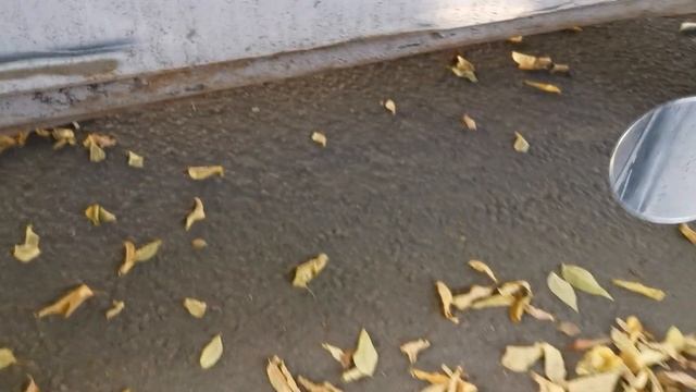 Тотальный и забытый в процессе восстановления Автомобиль. смотреть онлайн