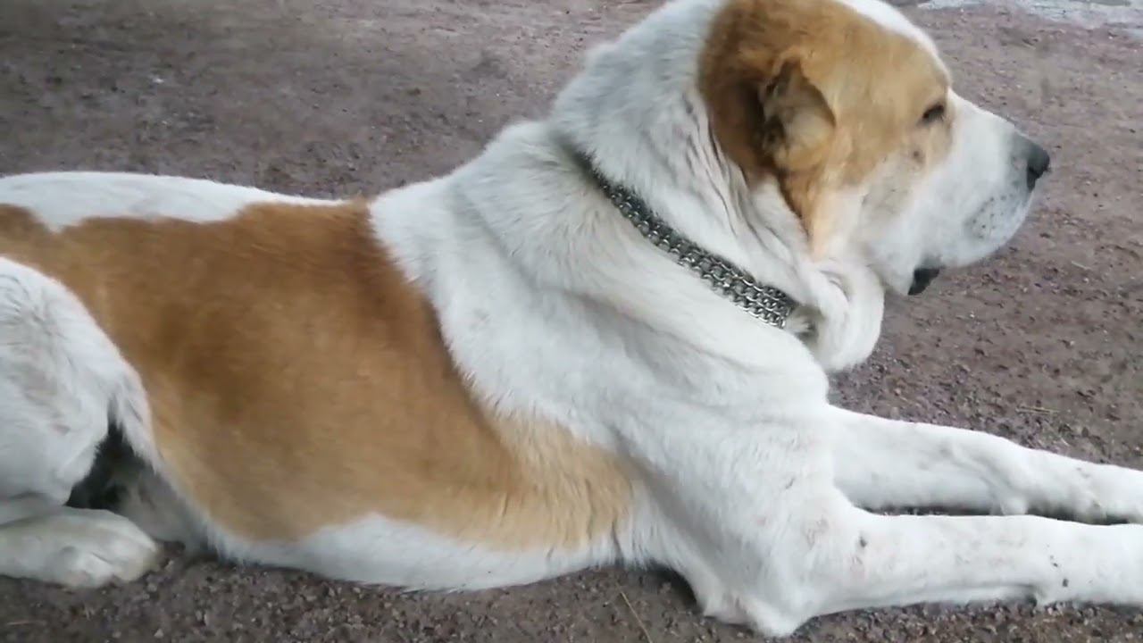 и грянул гром)))) смотреть онлайн