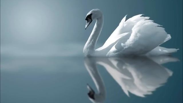 Красивая музыка БЕЗ СЛОВ для ДУШИ смотреть онлайн