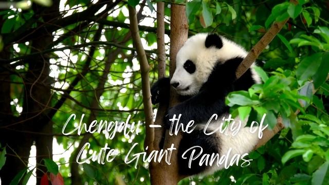 5 Best Places To Visit In China In 2023 #vlog #travel #china